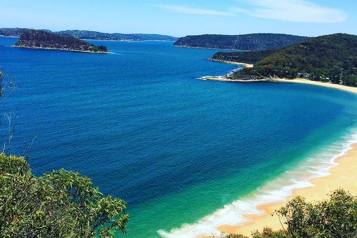 Central Coast Private Tour vanuit Sydney, met optie voor Australian Reptile Park