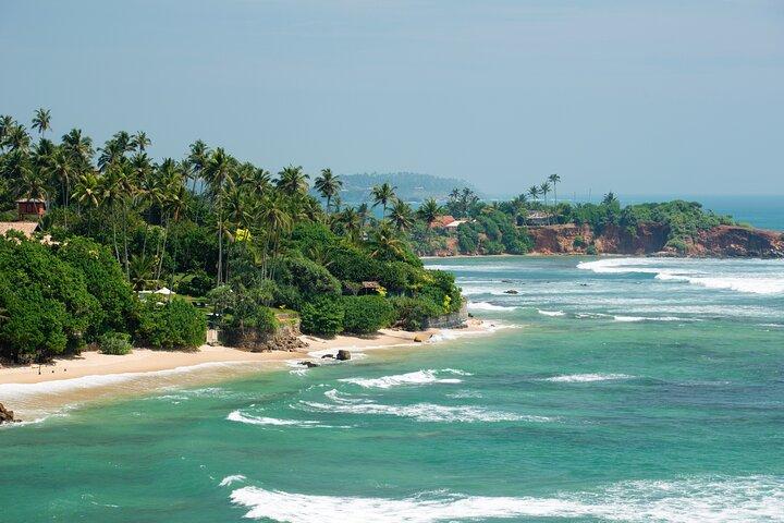 Highlights della costa meridionale Tour da Bentota