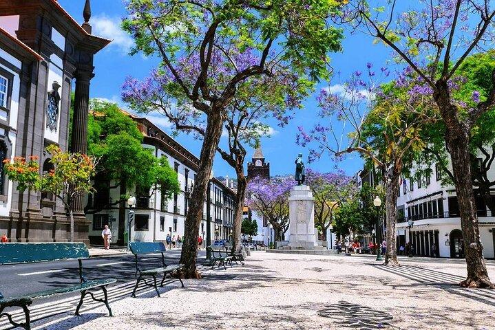 Recorrido privado a pie por lo mejor de Funchal con degustación de especialidades locales
