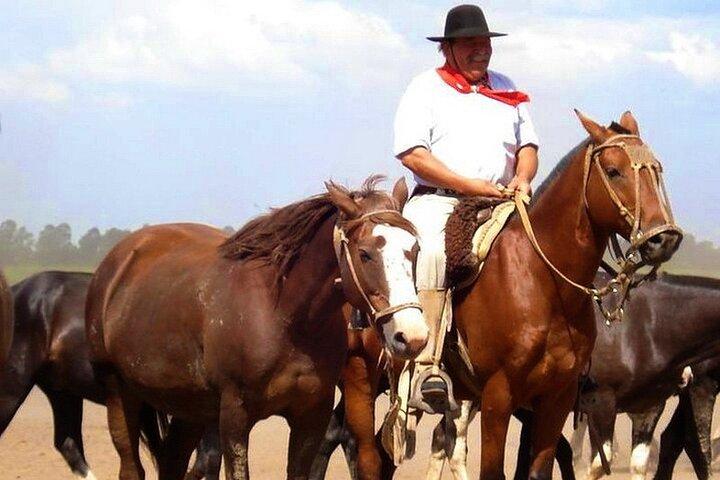 Gaucho Day Tour Santa Susana Estancia desde Buenos Aires