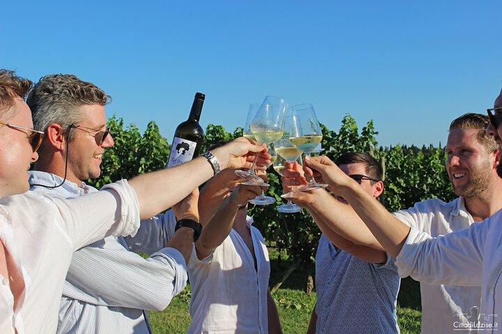 Degustazione enogastronomica nei vigneti di Lazise