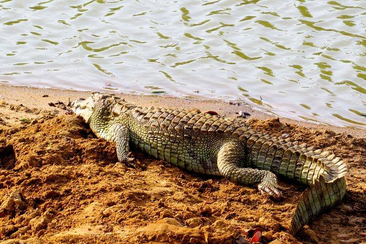 Campeggio di due notti nel parco nazionale di Yala