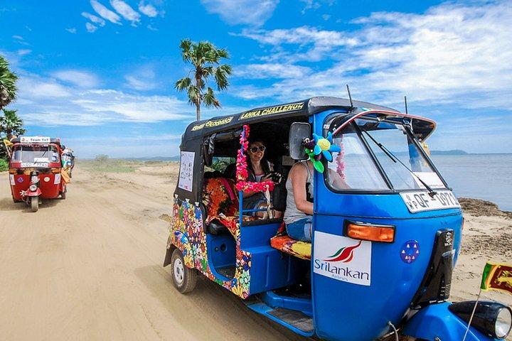 Südküste Tuk Tuk Safari von Galle