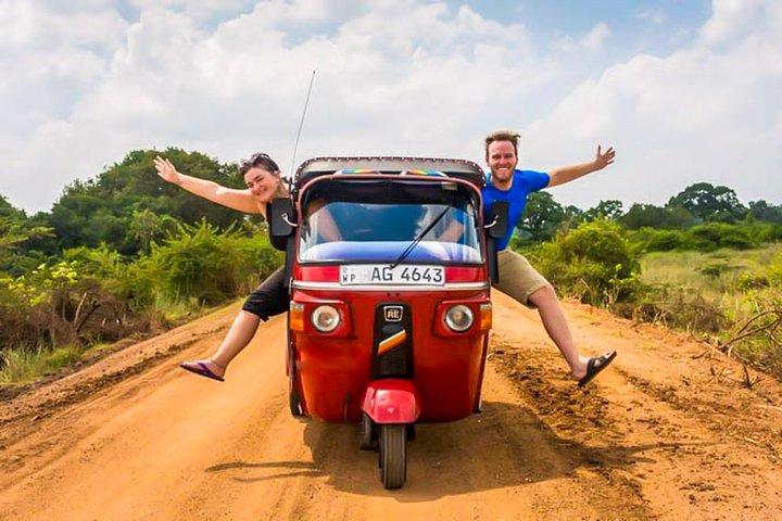 Südküste Tuk Tuk Safari von Galle