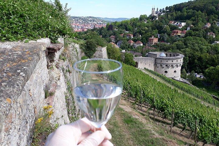 Rally de vinhedos em Würzburg com degustação