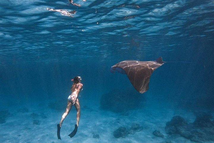 シュノーケリング付きのヌサペニダホリデーパッケージのベスト：1泊2日