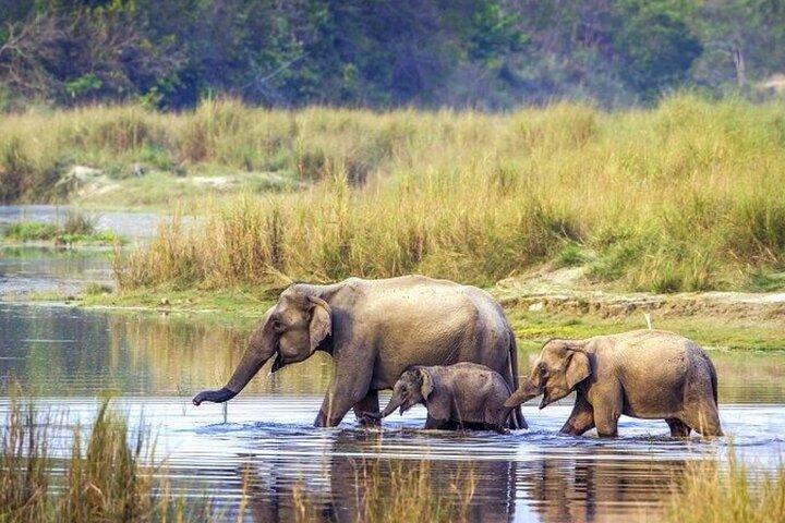 5 Tage Bardia National Park Tour mit Palpa Übernachtung