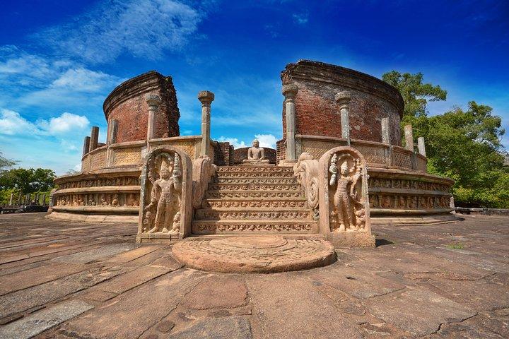 Polonnaruwa Ancient Kingdom og Wild Elephant Safari fra Dambulla