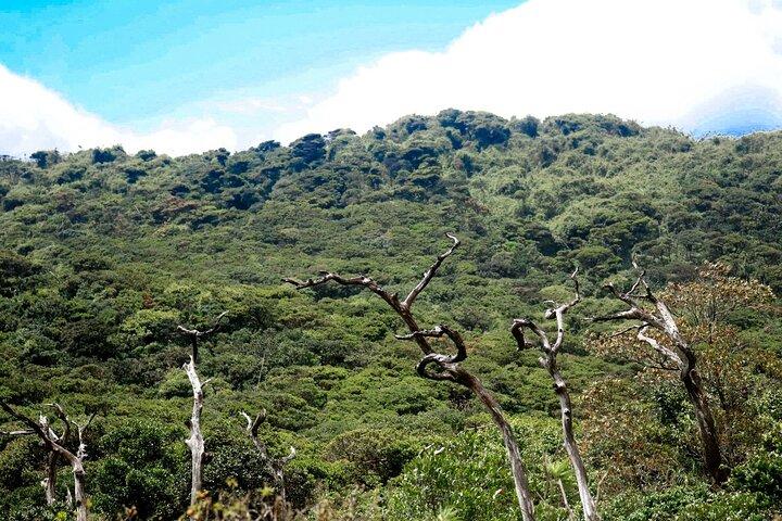 キャンディからのナックルズ山脈ハイキング