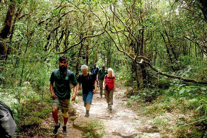 Knuckles Mountain Range Hike from Kandy