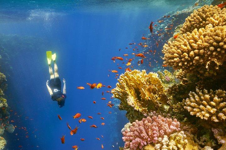 Sharm El-Sheikh: viagem de um dia pelo Canyon Colorido e Buraco Azul