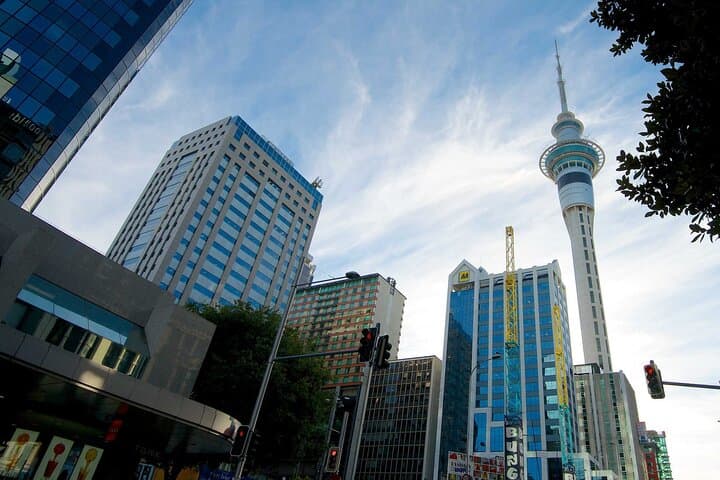 Airport Transfer: Auckland to Auckland Airport AKL by Luxury Car