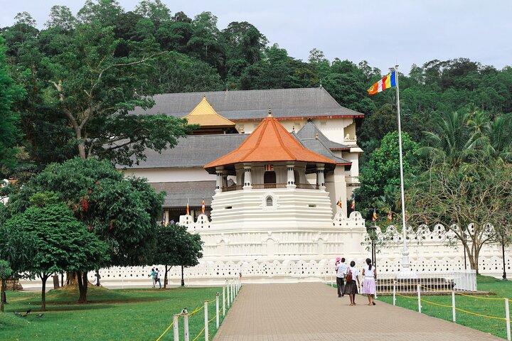 Kandy-stadstour vanuit Hikkaduwa
