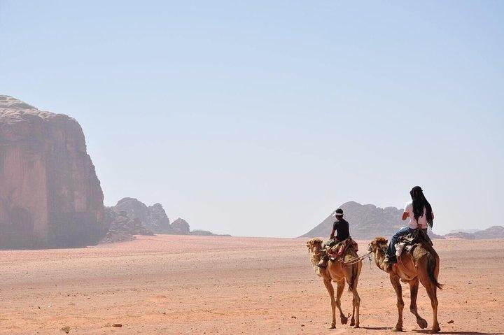 Arabian Horse / Camel Riding; Visita guidata speciale privata