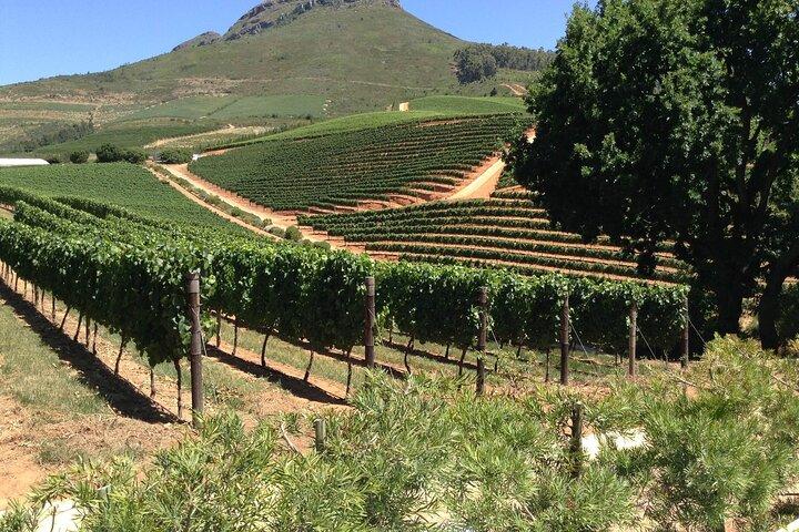 Excursion d'une journée à Stellenbosch Franschhoek avec dégustation de fromage