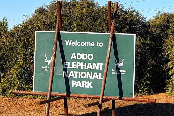 4 Day Addo to Karoo Safari