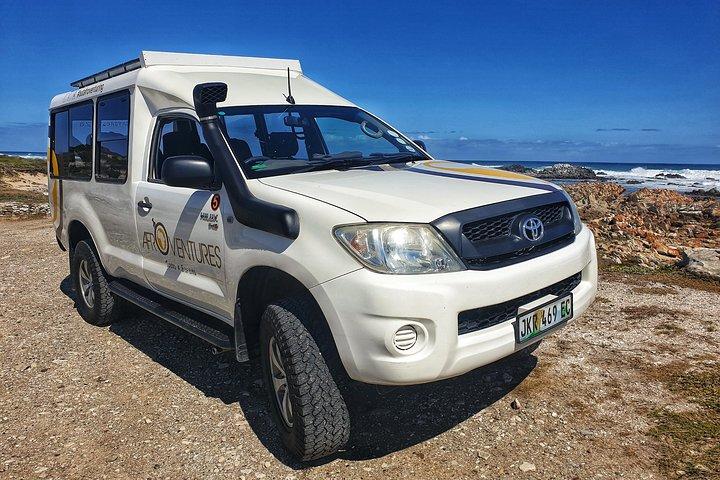 4 Day Addo to Karoo Safari