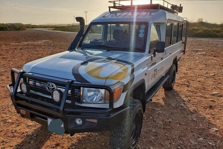 4 Day Addo to Karoo Safari