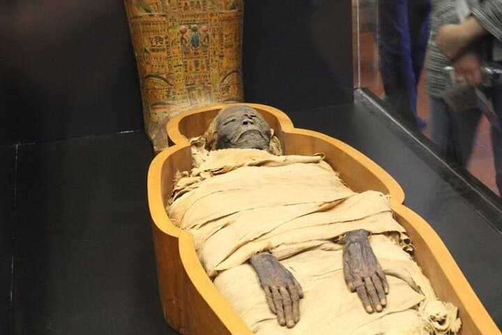 National Museum of Egyptian Civilization Private Guided Tour