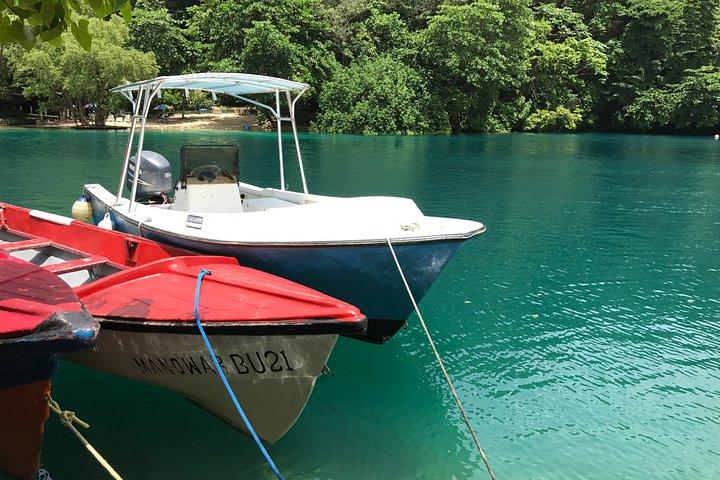 3-tägige Sightseeing-Tour durch Portland und Ocho Rios ab Montego Bay