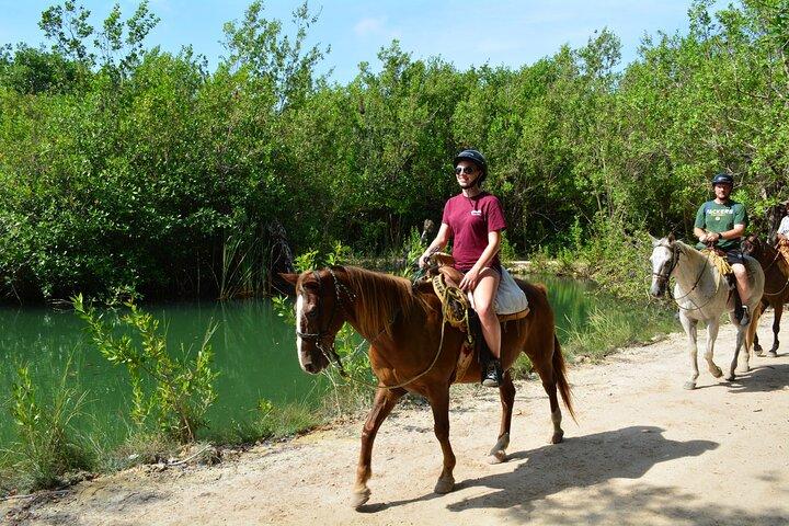 PASEE por los senderos de la jungla en un CABALLO. Incluye transporte y equipo.