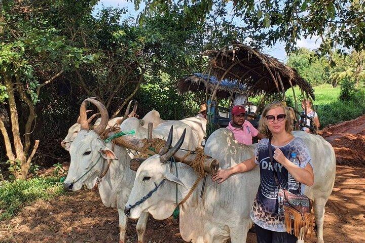 Passeio de bicicleta pela vila de Rajanganaya saindo de Anuradhapura