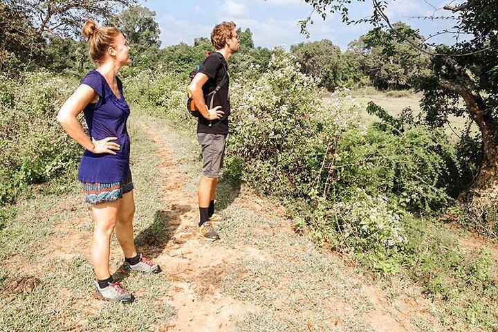 Passeio de bicicleta pela vila de Rajanganaya saindo de Anuradhapura