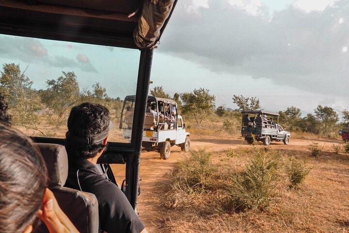 Udawalawe National Park Entrance Ticket with Private Safari