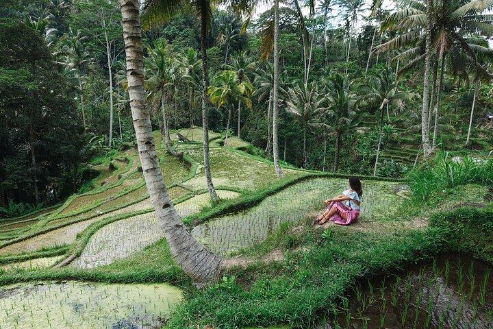 Bali Instagram Tour privado