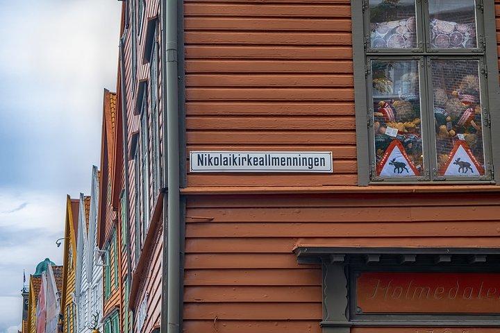 Bergen Private Walking Tour With A Professional Guide