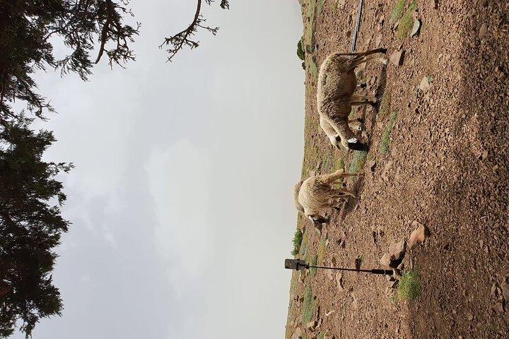 two days valley trek in the Atlas mountains
