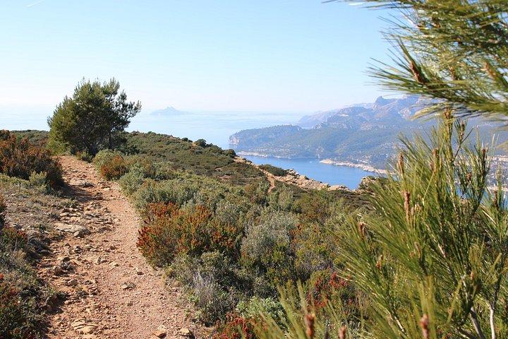 Private Cassis Wein- und Mittelmeertour - Calanques Cap Canaille