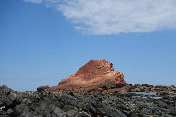 サンセットオフロードアルガルヴェ自然公園西海岸穴場ツアー