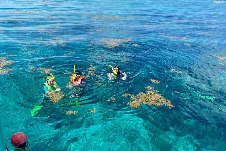 Viagem de meio dia para mergulho com snorkel em recifes em Florida Keys