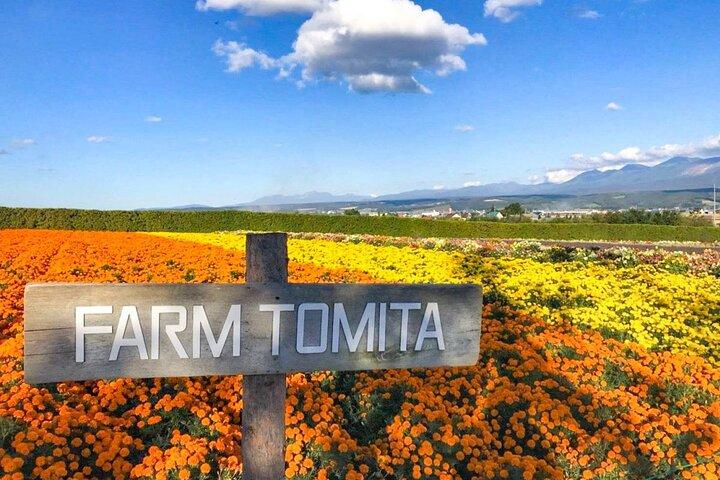 Furano & Biei Customized Car Tour : Autista Inglese, Nessuna Guida