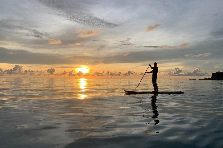 Tour de surf de remo al amanecer (SUP) en Koh Samui
