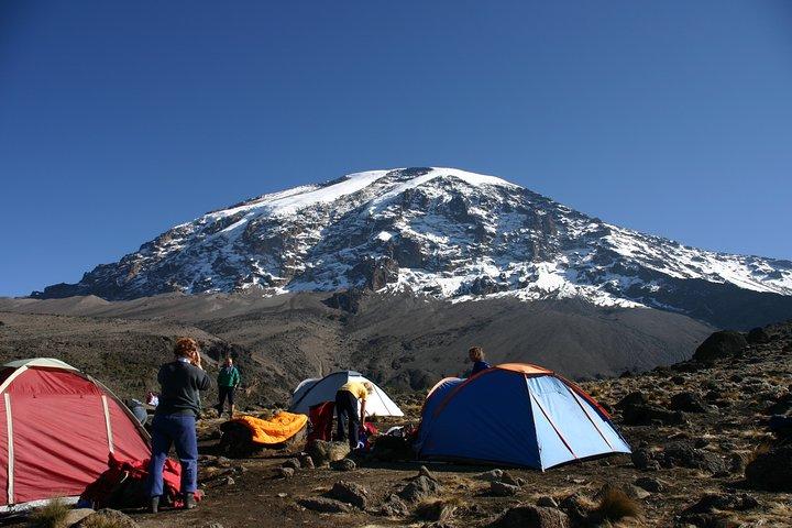 Machame Route 7 dagar 6 nätter /Kilimanjaro klättring