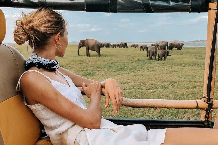 Kandy naar Trincomalee Shuttle & Safari Drive