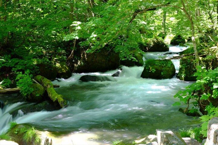 Oirase Gorge & Lake Towada Escursione di un giorno con Guida autorizzata
