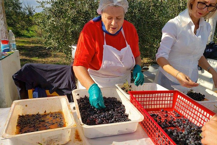 Vin de campagne des AbruzzesDégustation et cuisineClasse Fullday from Rome
