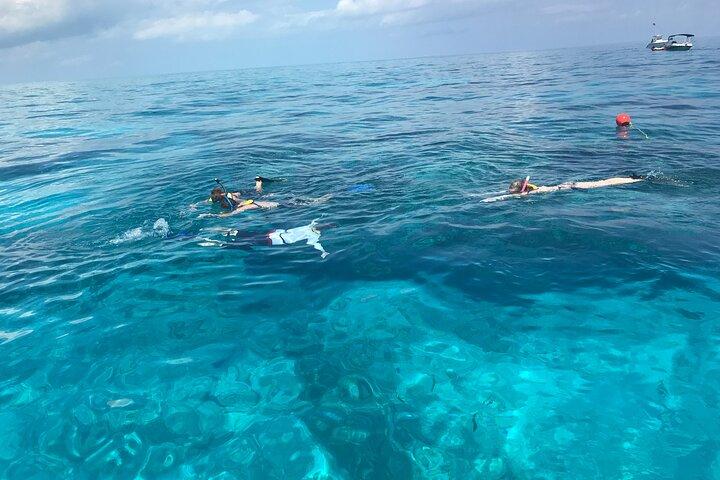 Mergulho com snorkel privativo no recife de Key Largo para até 12 pessoas - INCLUI EQUIPAMENTO!