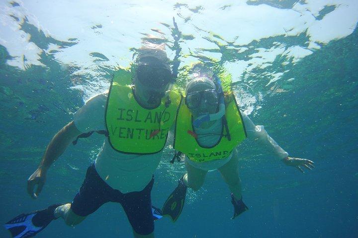 Mergulho com snorkel privativo no recife de Key Largo para até 12 pessoas - INCLUI EQUIPAMENTO!