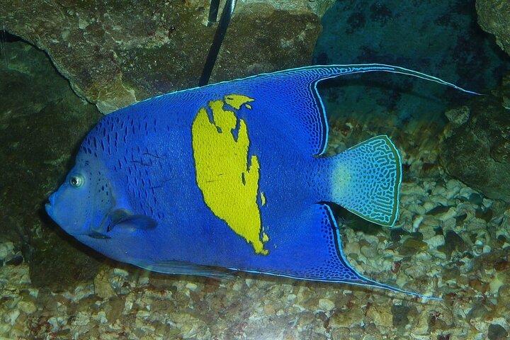 The Shipwreck & Marine Museum en Hurghada; Solo; Grupo; Familia