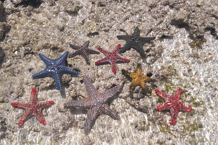Snorkeling at Blue Lagoon, Star fish and The Rock Restaurant