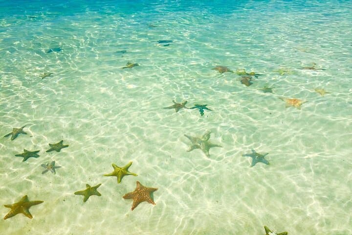 Snorkeling at Blue Lagoon, Star fish and The Rock Restaurant