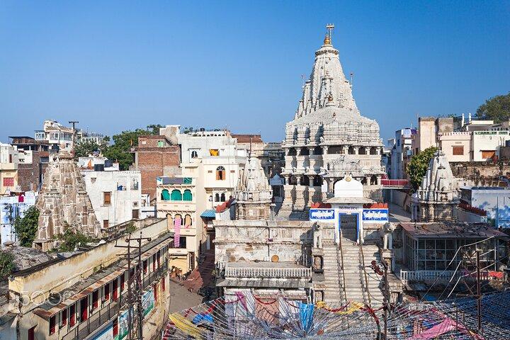 Heldags privat sightseeingtur i Udaipur