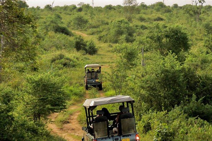 Udawalawe National Park Entrance Ticket with Private Safari
