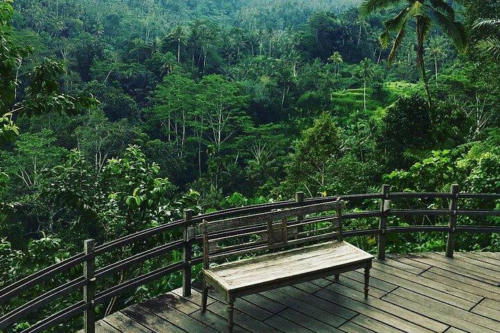 Best of Ubud: Rice Terrace, Temple and Waterfall Private Tour