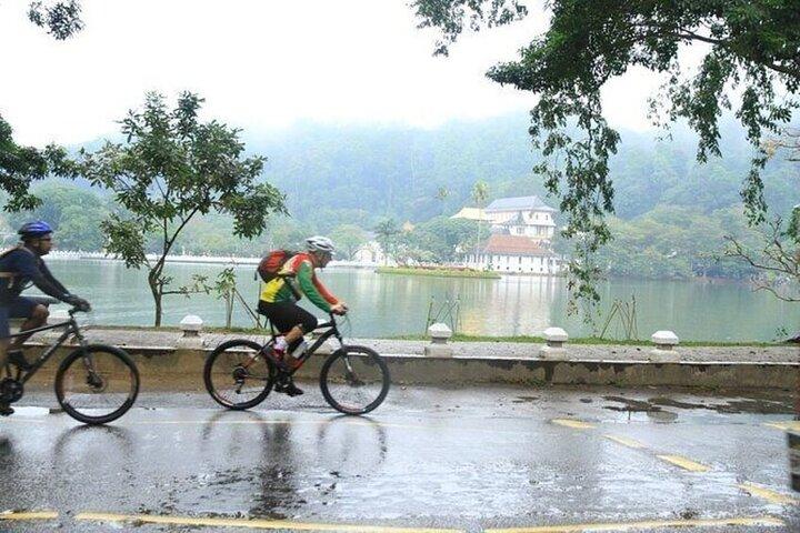 マハウェリ川に沿って、キャンディ王国を探索しながら自転車に乗ってください。