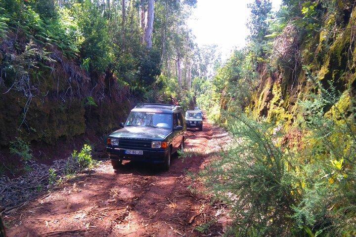 Madeira Safari - Este da ilha